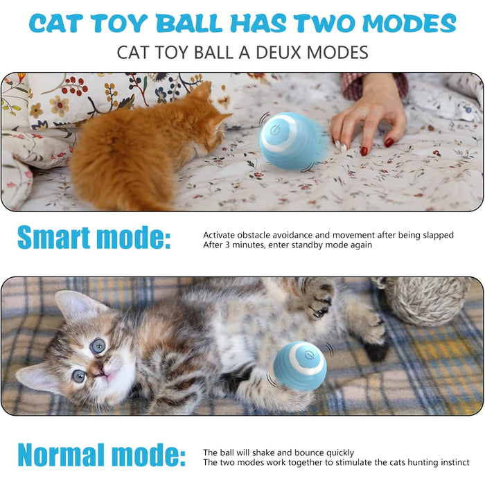 Cat Interactive Ball KW Life Products