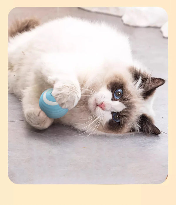 Cat Interactive Ball KW Life Products